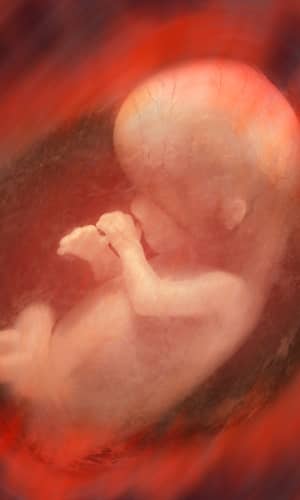 Abortion: A Biblical, Biological, and Philosophical Refutation