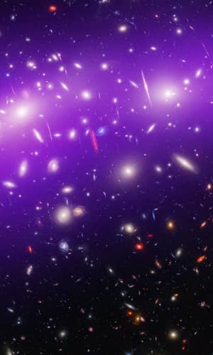 Size of Galaxies in JWST Data and Cosmology— Reply to Lisle