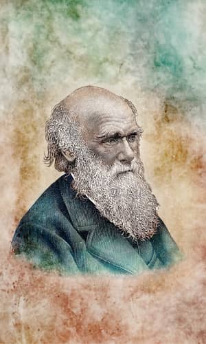 Darwin’s Sexual Selection Theory of Humans Falsified