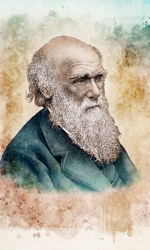 There Is No Darwin Conspiracy