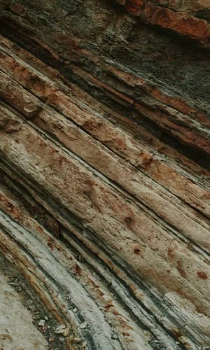 Simulating Biostratigraphy to Test Faunal Succession