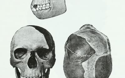 Fraud and Forgery in Paleoanthropology