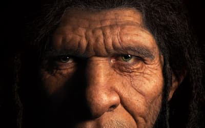 Homo naledi Probably Not Part of the Human Holobaramin Based on Baraminic Re-Analysis Including Postcranial Evidence