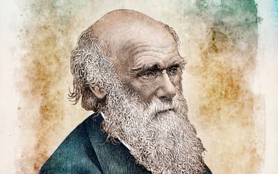 No Replacement of Darwin