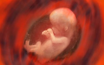 Abortion: A Biblical, Biological, and Philosophical Refutation