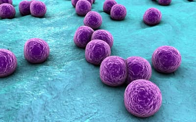 The Genesis and Emergence of Community-Associated Methicillin-Resistant Staphylococcus aureus (CA-MRSA): An Example of Evolution in Action?