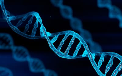 Y-Chromosome-Guided Analysis of Mitochondrial DNA Lineages in the Americas: New Evidence for a Mitochondrial DNA Root, for a Mitochondrial DNA Clock, and for at Least One Migration from Asia into the Americas in the First Millennium BC