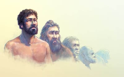 Liver Evolution Claims Fail