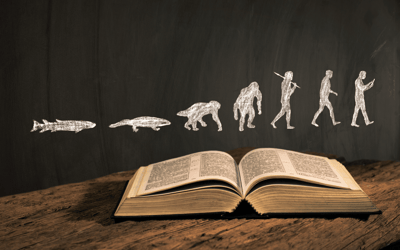 Theistic Evolution