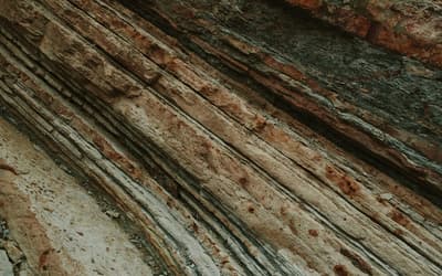 Simulating Biostratigraphy to Test Faunal Succession