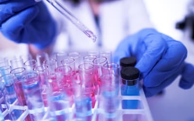 The Natural History of Retroviruses