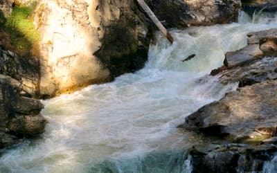 The Dwarfs are for the Dwarfs: Stanley Fish, The Pragmatic Presuppositionalist